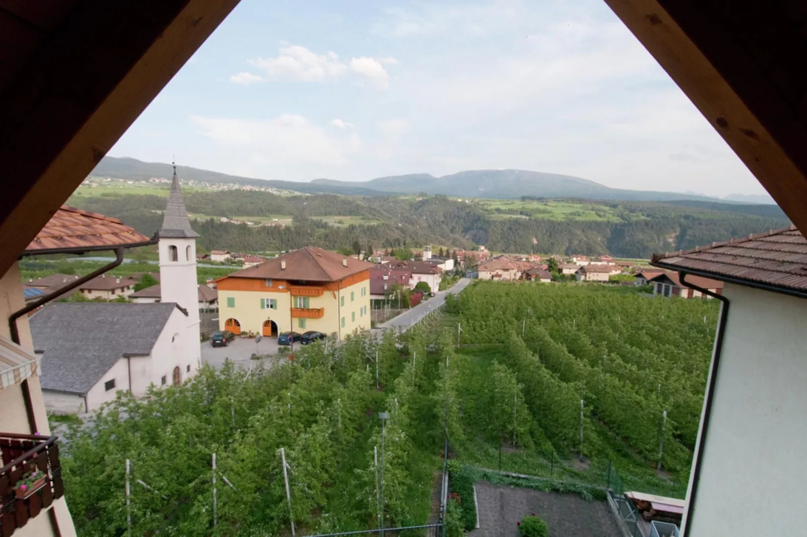 Pink Lady-View in summer