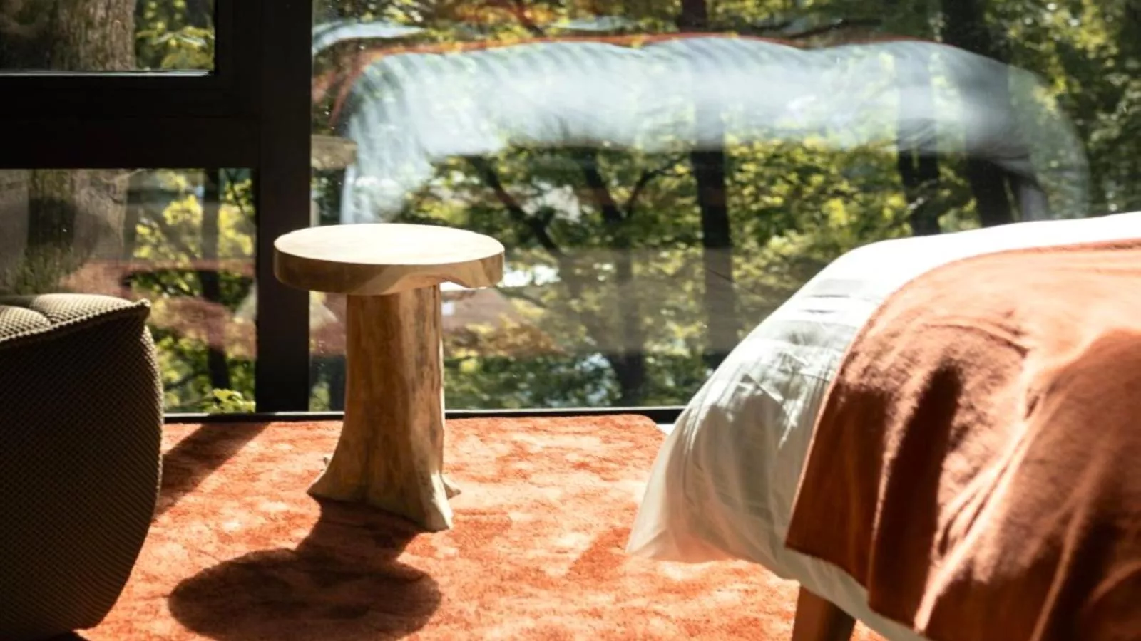 Cabane dans les arbres