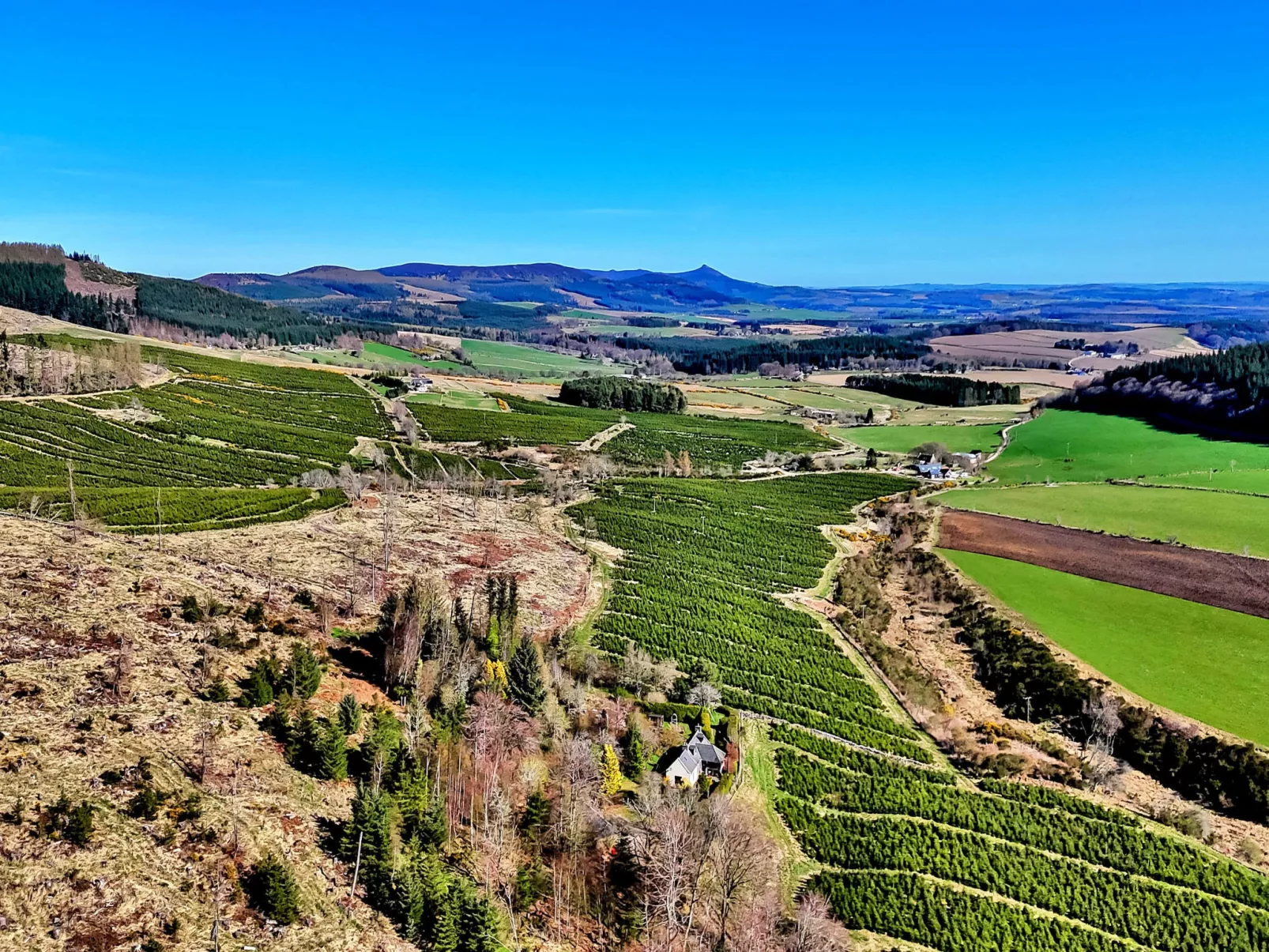 Corrennie School Cottage