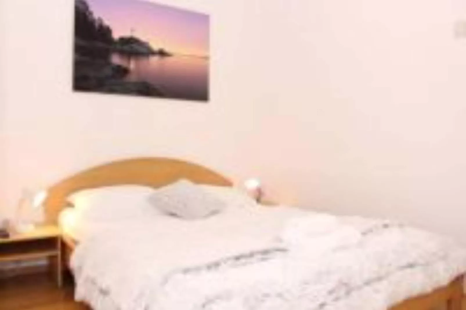 Studio Apartment Butković