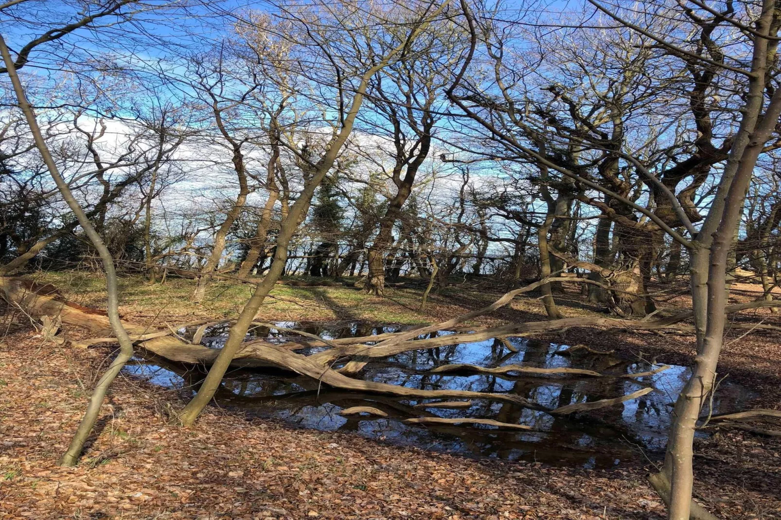 5 Sterne Ferienhaus in Tranekær