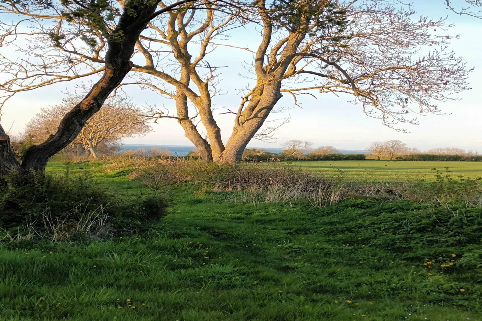 5 Sterne Ferienhaus in Ærøskøbing