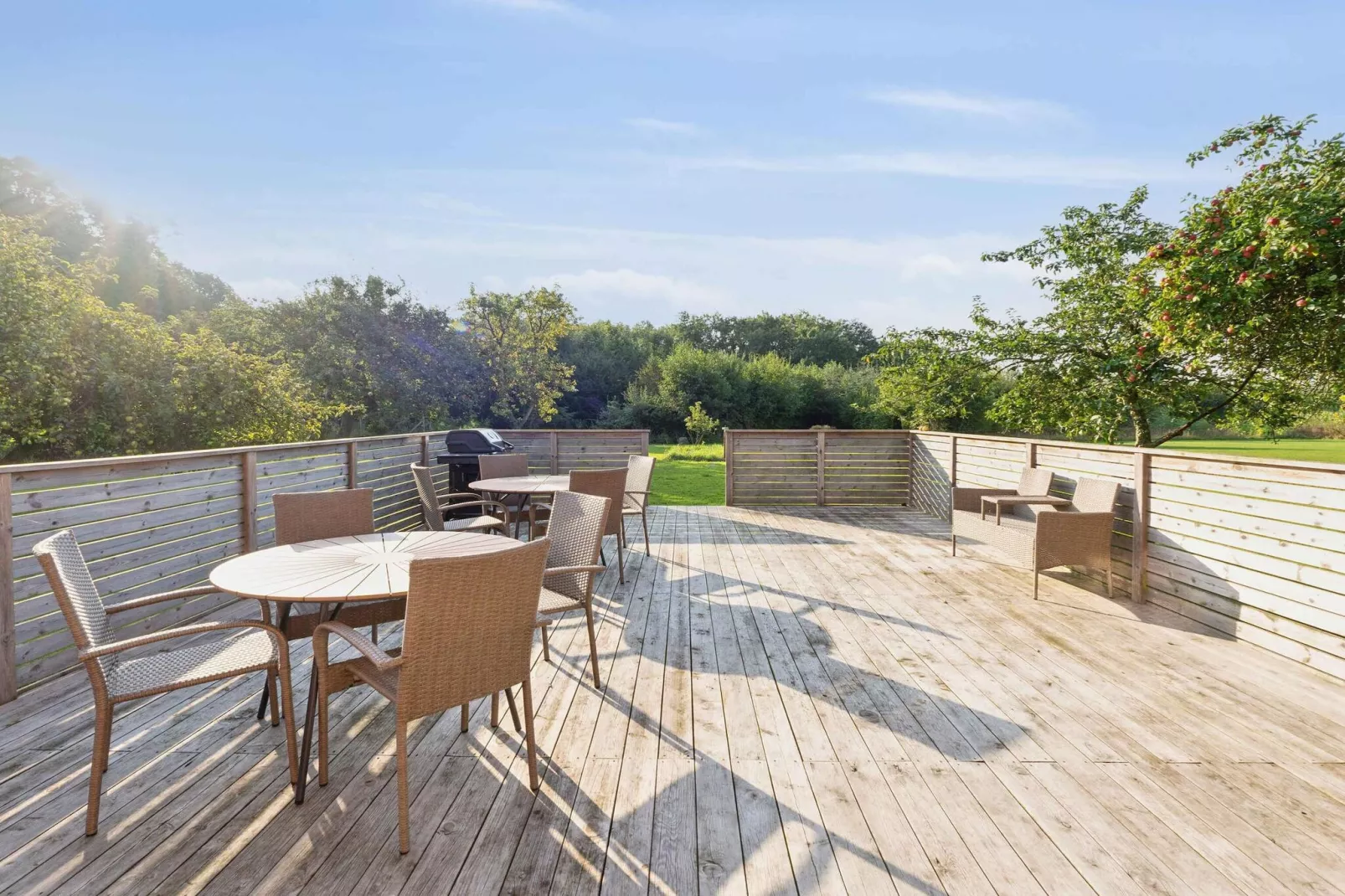 5 Sterne Ferienhaus in Ullerslev