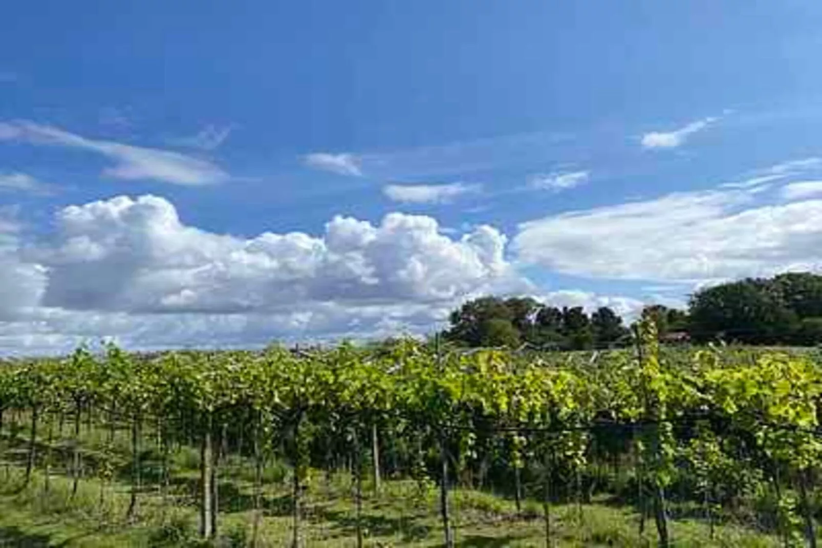 4 star holiday home in Karrebæksminde