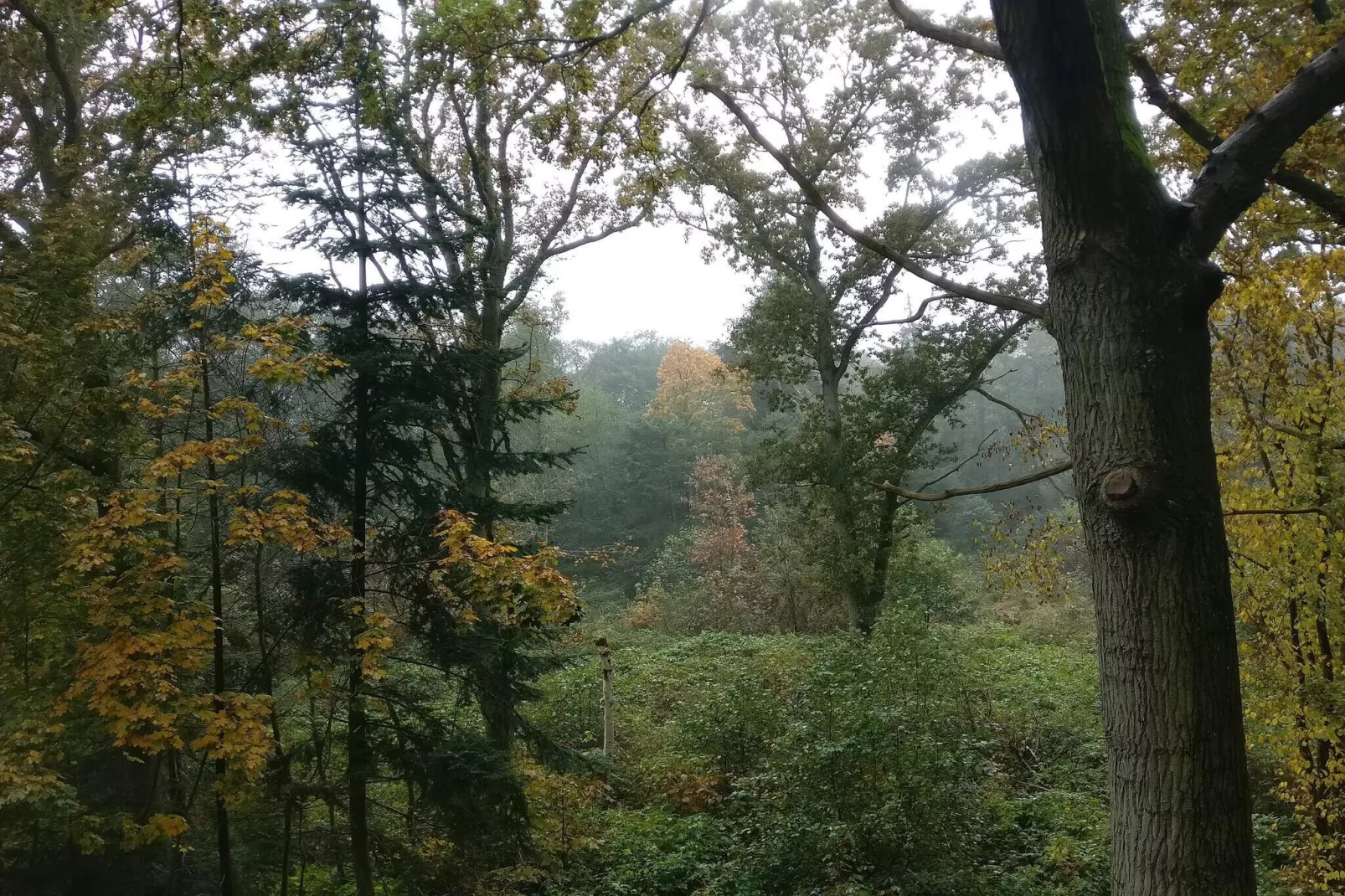 6 Personen Ferienhaus in Hadsund