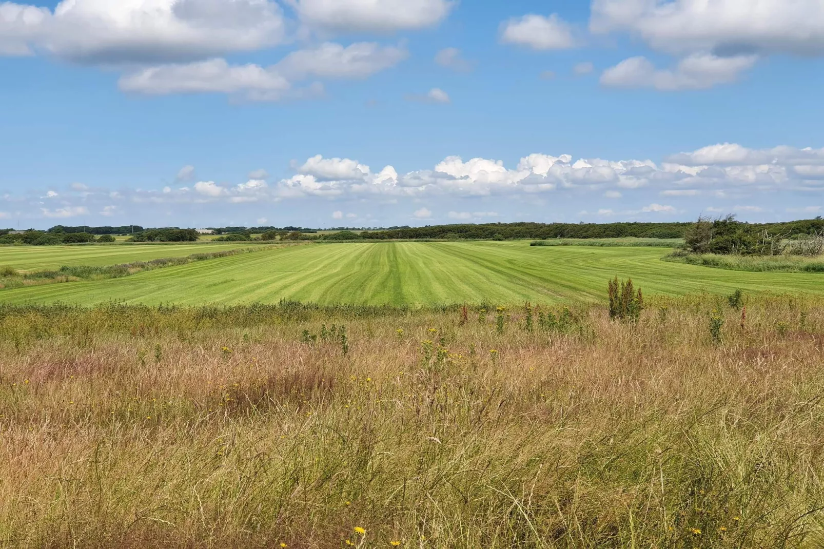 6 person holiday home in Ulfborg-Untagged