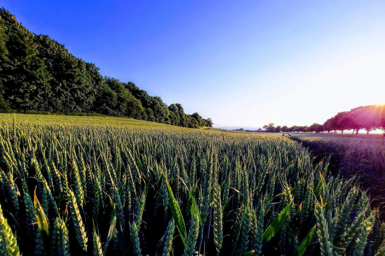 Maison de vacances pour 4 a Borre-Non tagué
