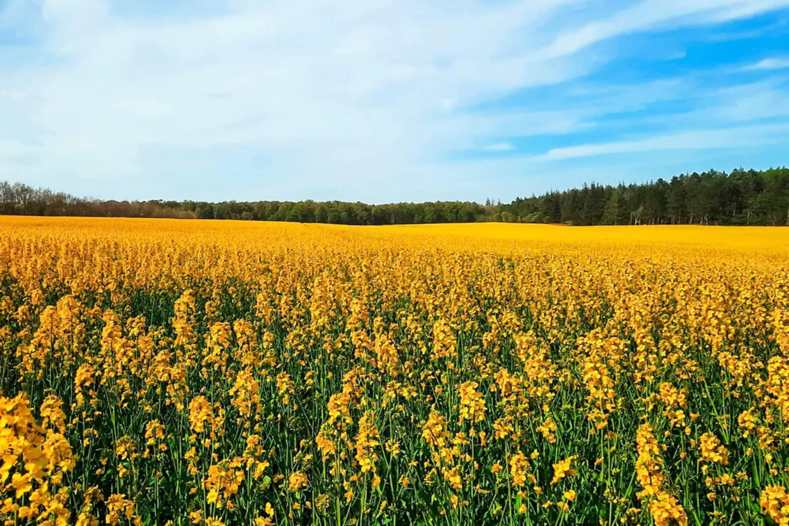 6 Personen Ferienhaus in Glesborg
