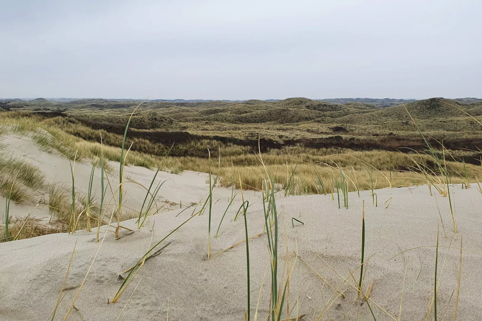 Luxus-Oase in Blavand-By Traum-Nicht zugeordnet