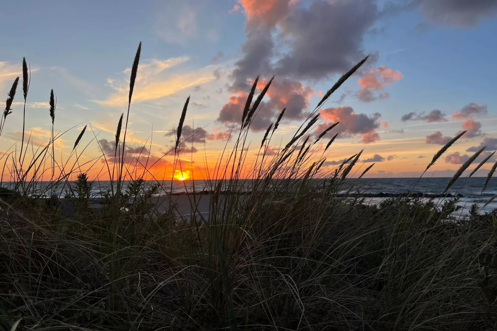 Maison de vacances pour 20 a Frederiksværk-Non tagué