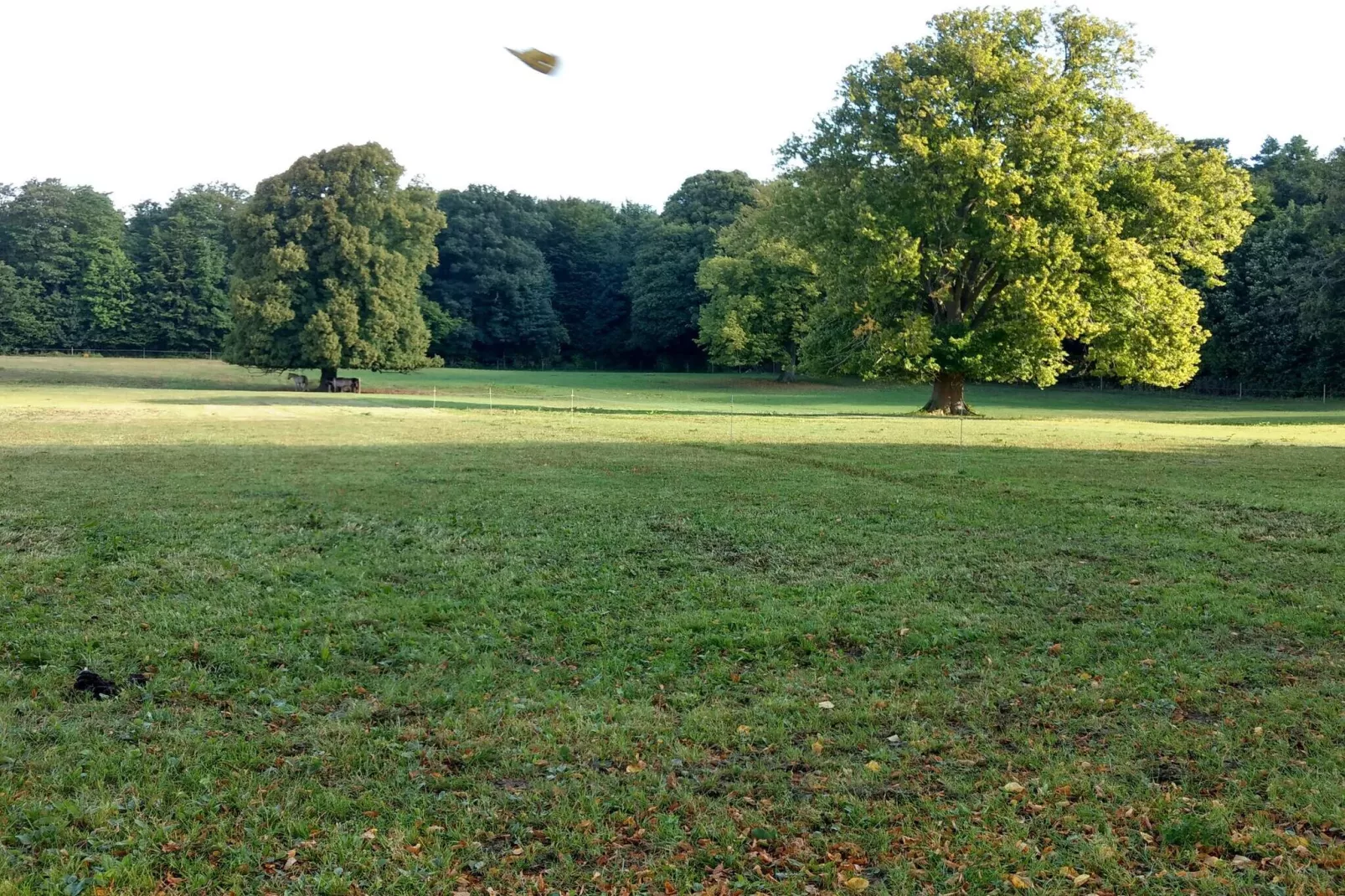 Charme cotier a Boged-By Traum-Non tagué