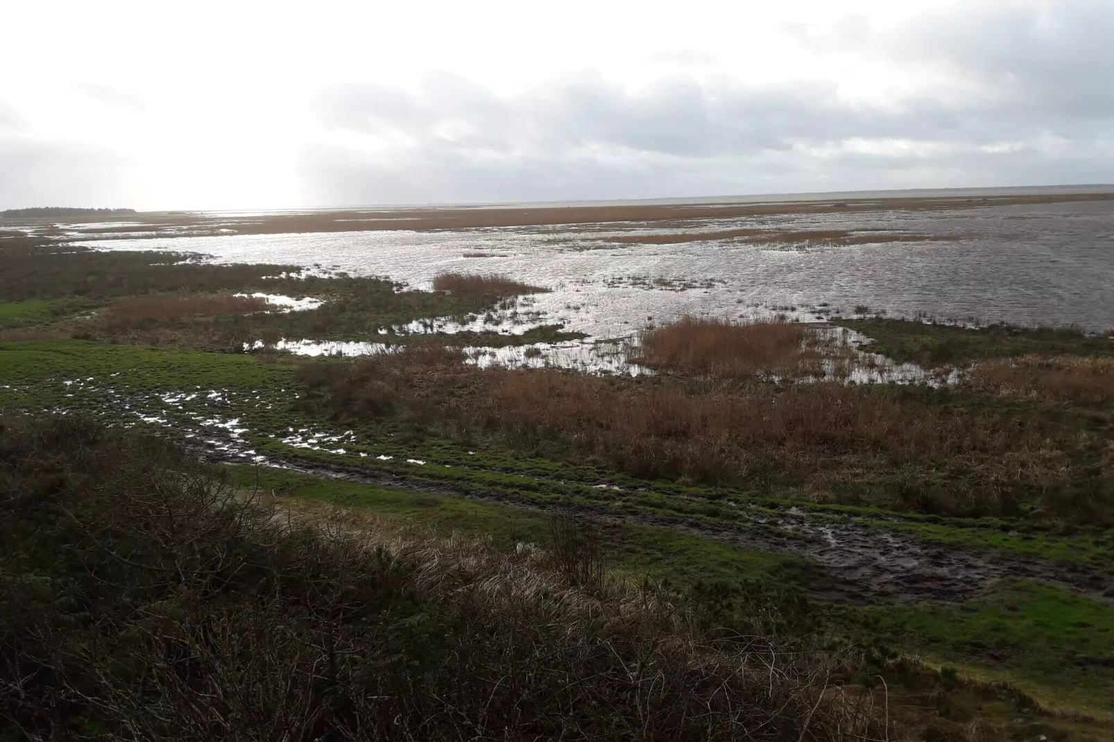Maison de vacances pour 4 a Bøvlingbjerg-Vue sur l'eau
