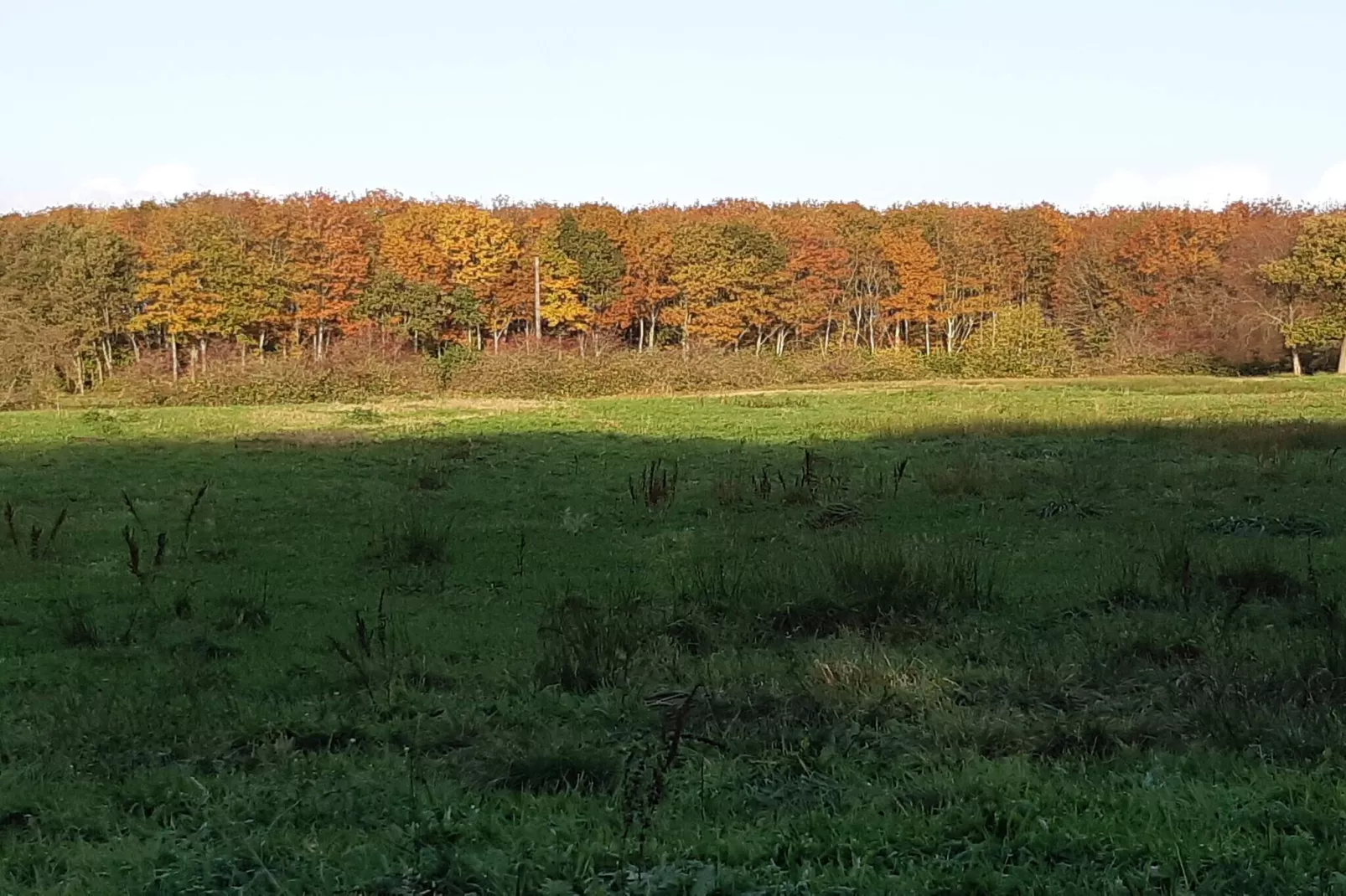 6 Personen Ferienhaus in Toftlund-Im Freien