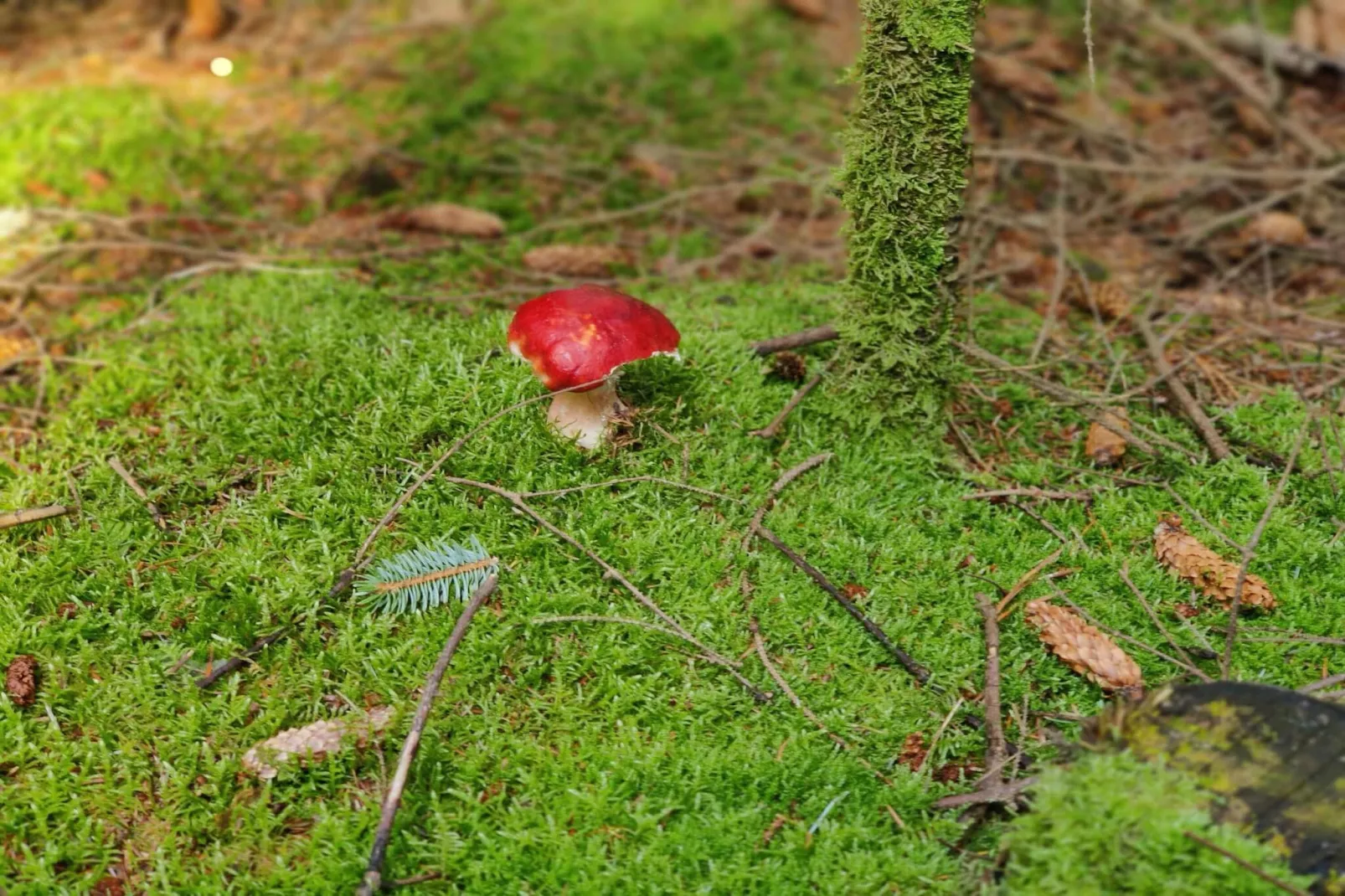 8 person holiday home in Ålbæk-Untagged