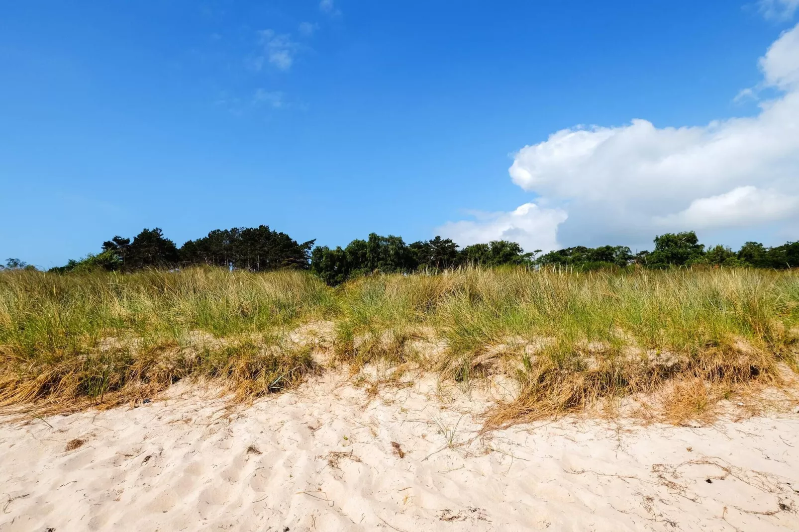 8 person holiday home in Væggerløse