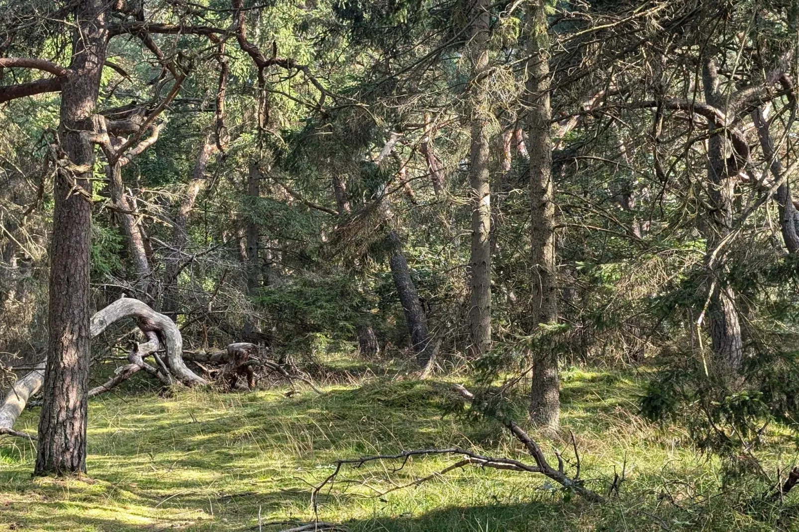 Maison de vacances pour 24 a Frederiksværk-Non tagué