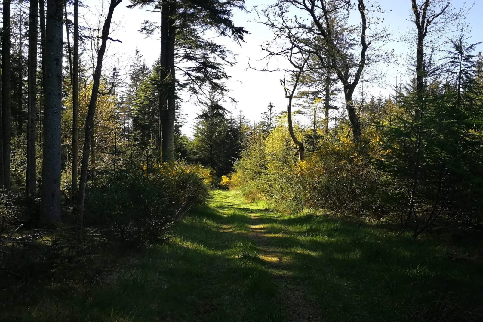 Rustic Retreat in Klitmoller-By Traum-Untagged