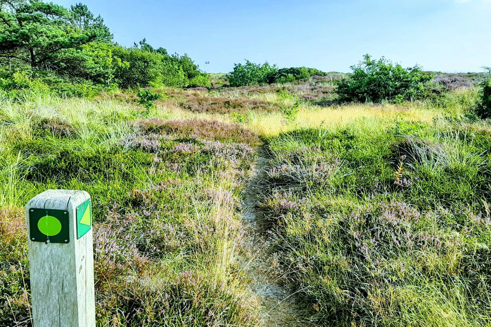 7 person holiday home in Grenaa-Untagged