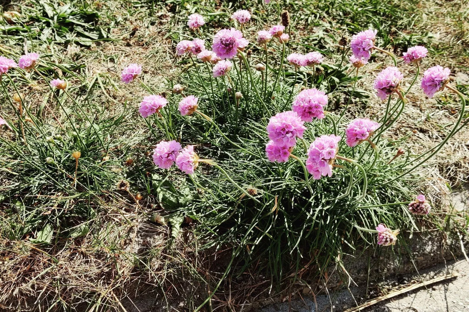 Tranquil Retreat in Thorsminde-By Traum