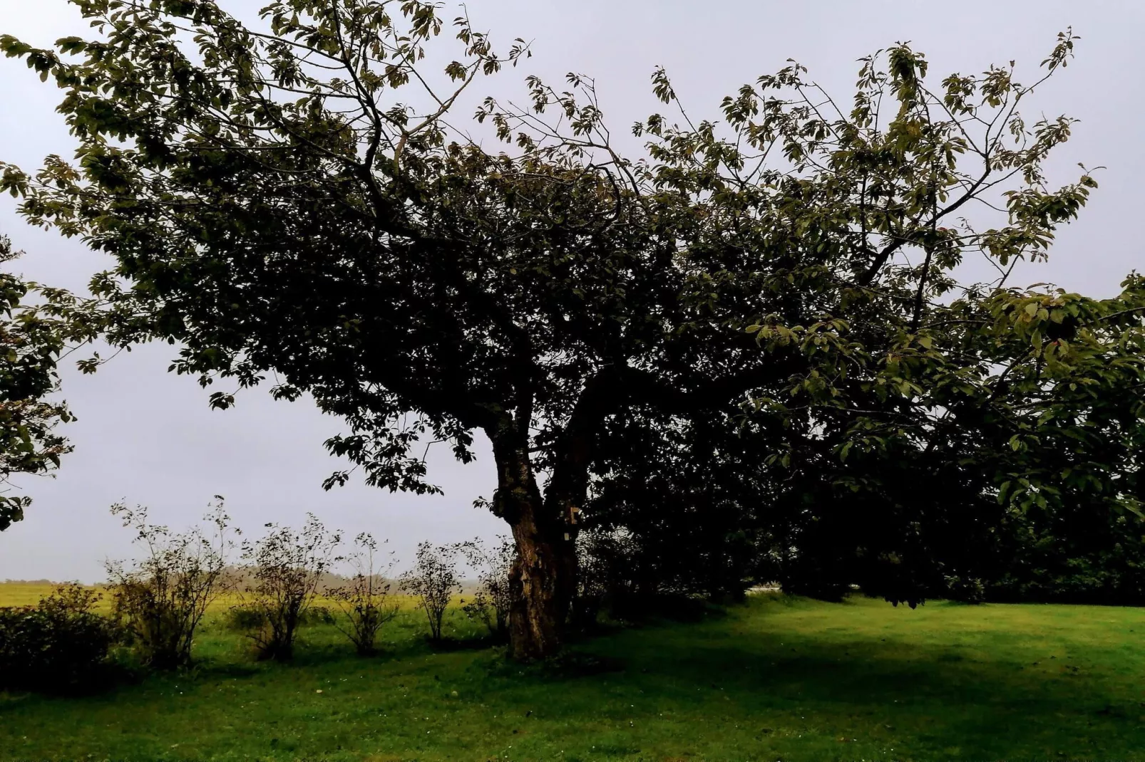 Maison de vacances pour 10 a Løkken