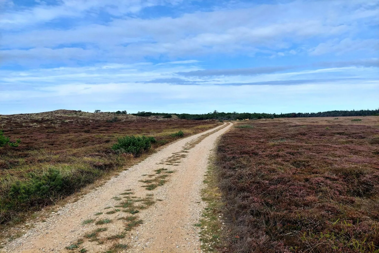 Maison de vacances pour 4 a Nørre Nebel-Non tagué