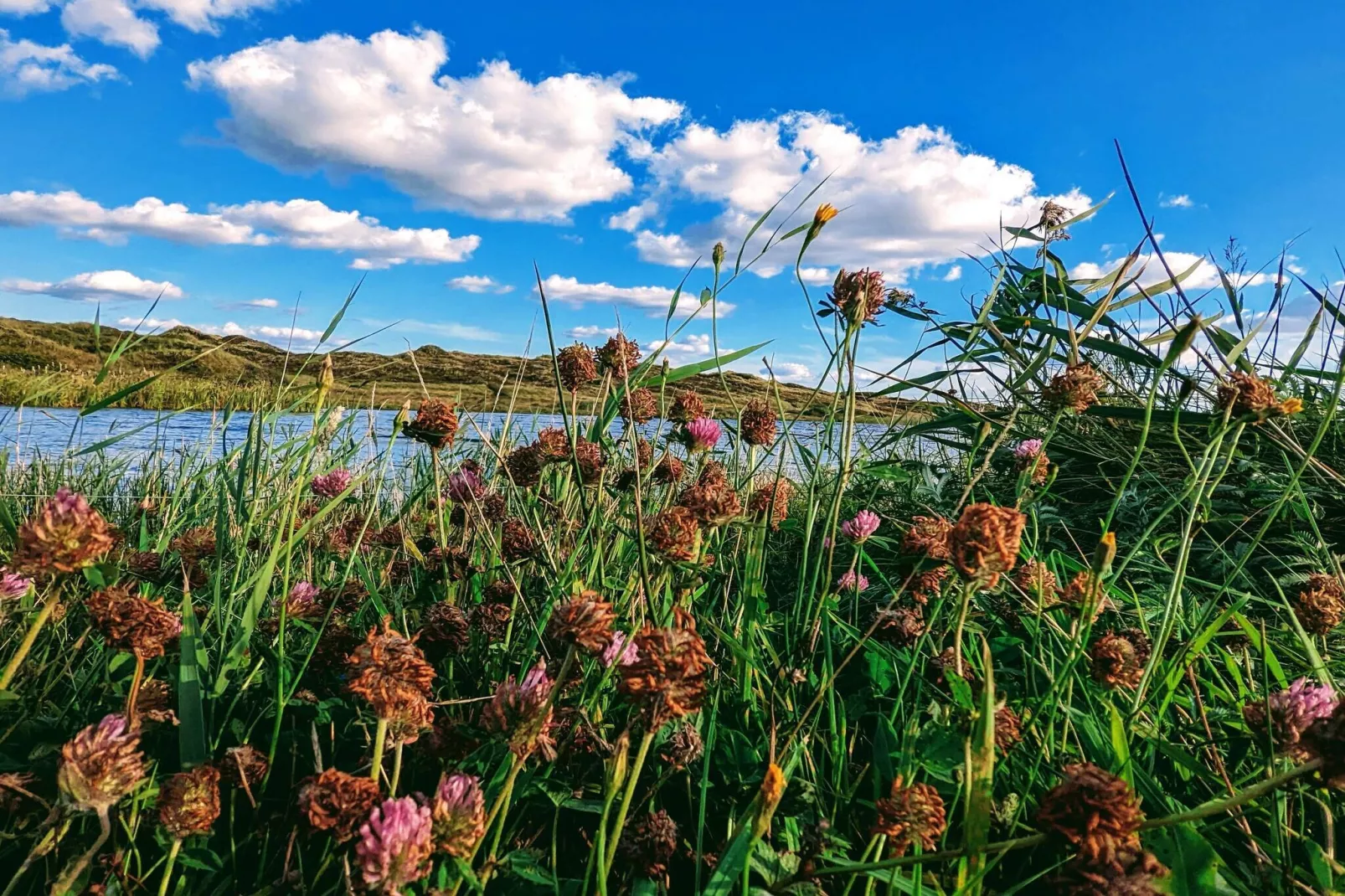 6 person holiday home in Nørre Nebel-Untagged