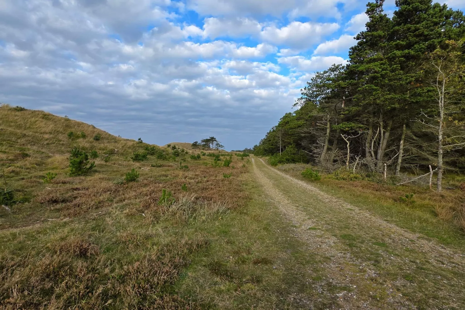 14 person holiday home in Ulfborg