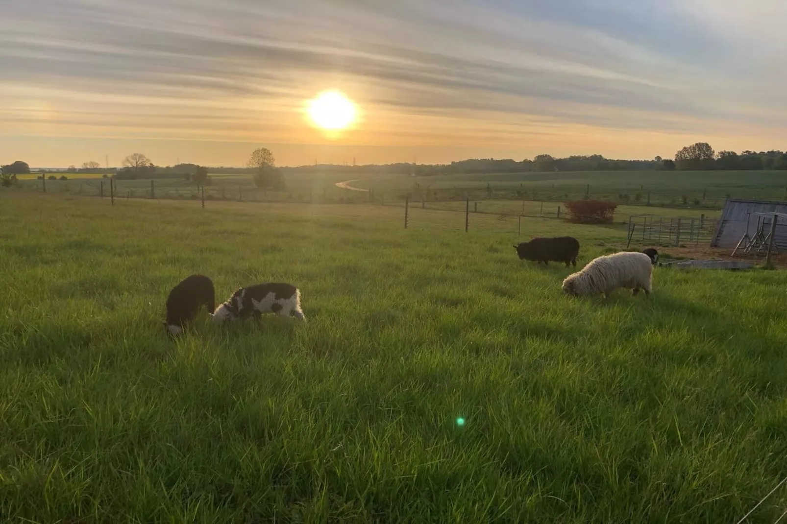 Maison de vacances pour 4 a Skibby-Non tagué