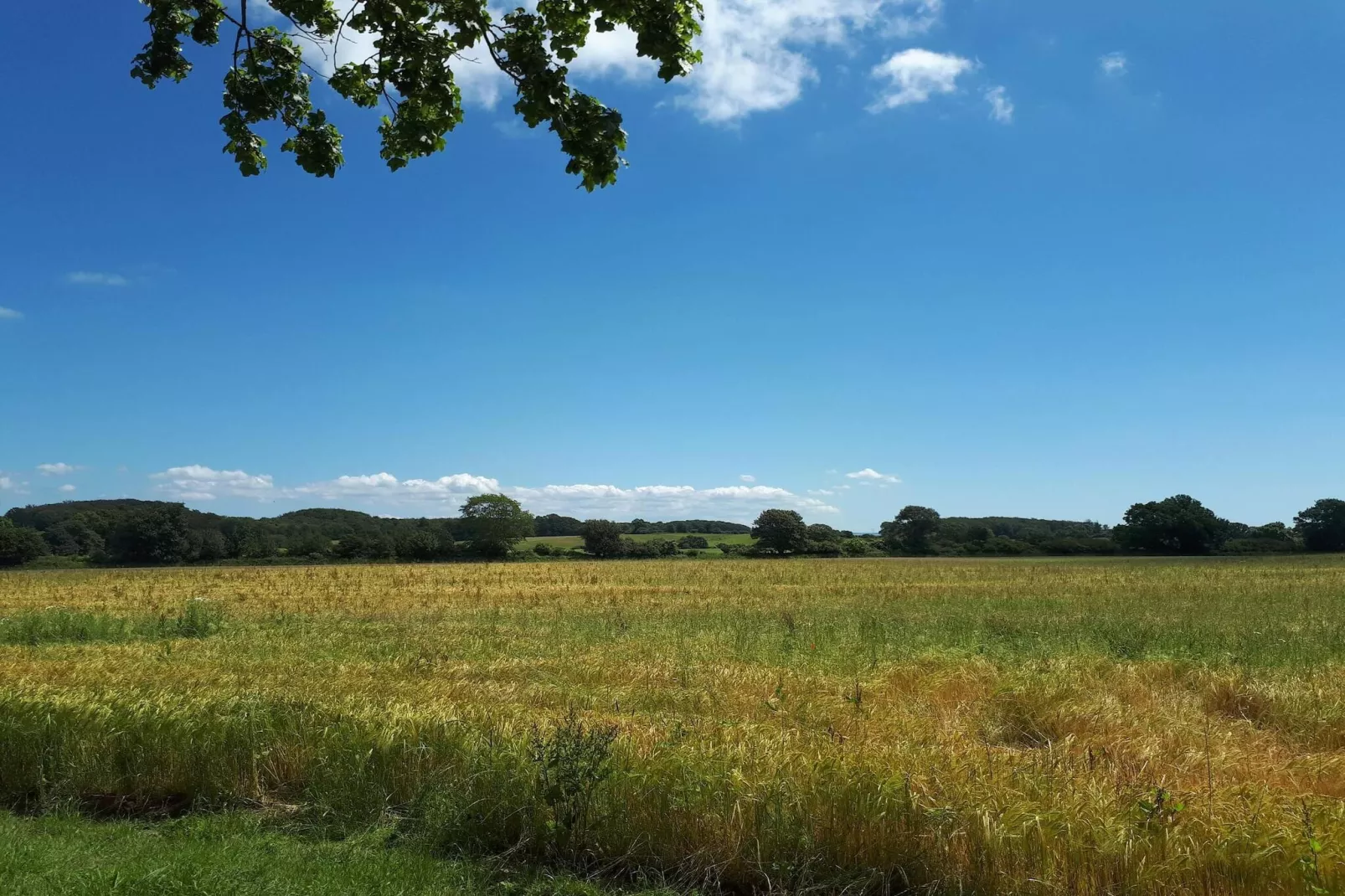 6 person holiday home in Rudkøbing-Untagged