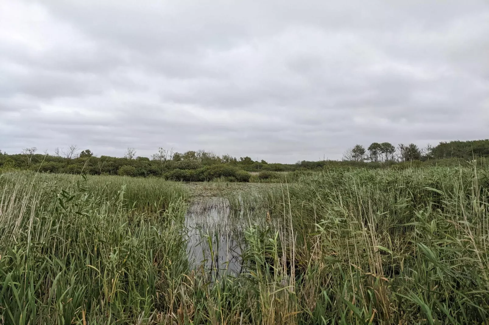 Maison de vacances pour 6 a Bredebro-Non tagué