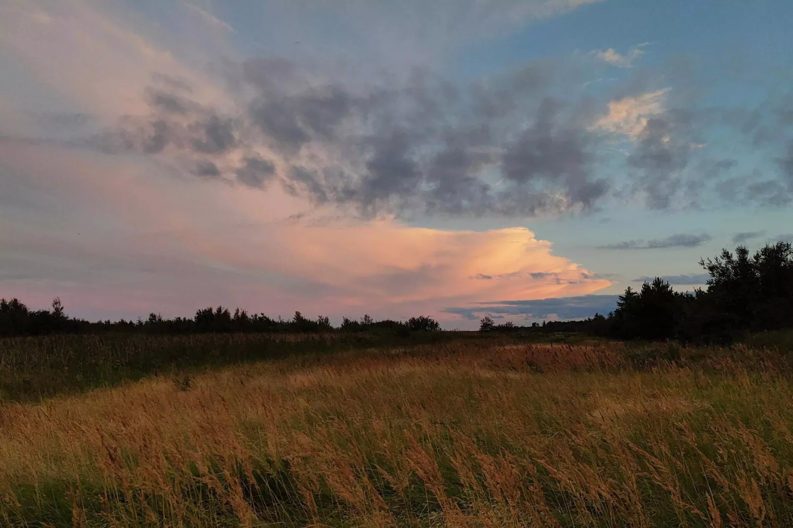 Bright Cottage by the Lagoon-By Traum-Untagged