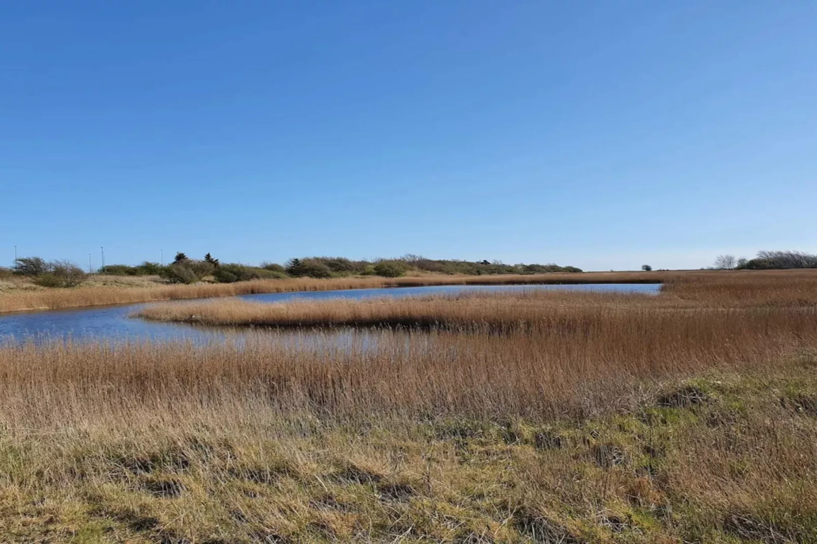 Retro Strand Ruckzug in Gedesby