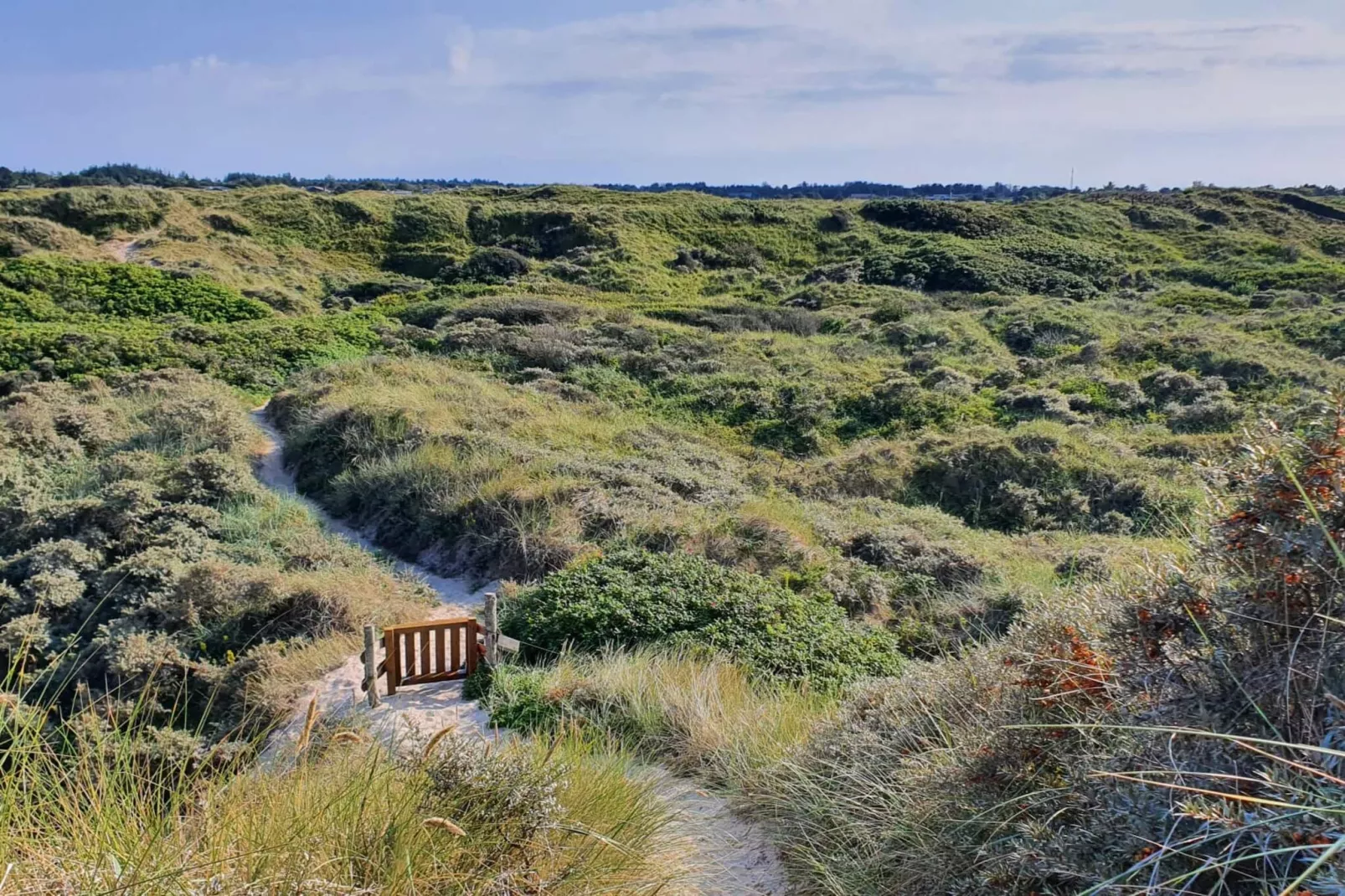 6 person holiday home in Bindslev-Untagged