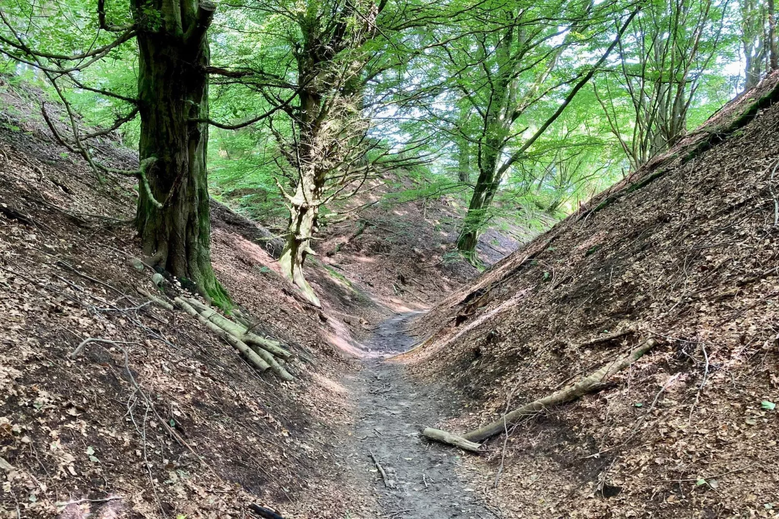 Refuge plage tranquille a Tranum-By Traum-Non tagué