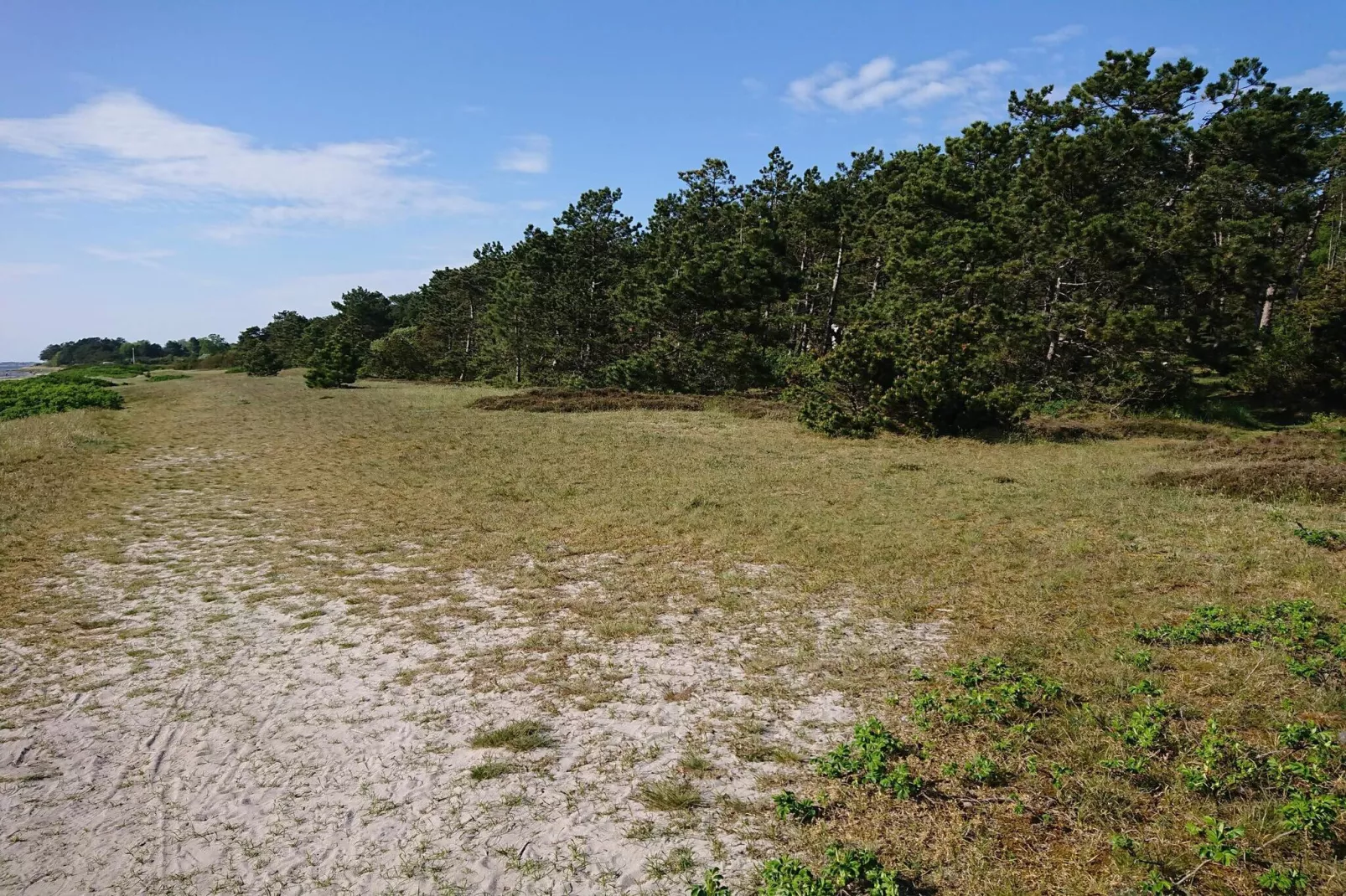 6 person holiday home in Jægerspris-Untagged