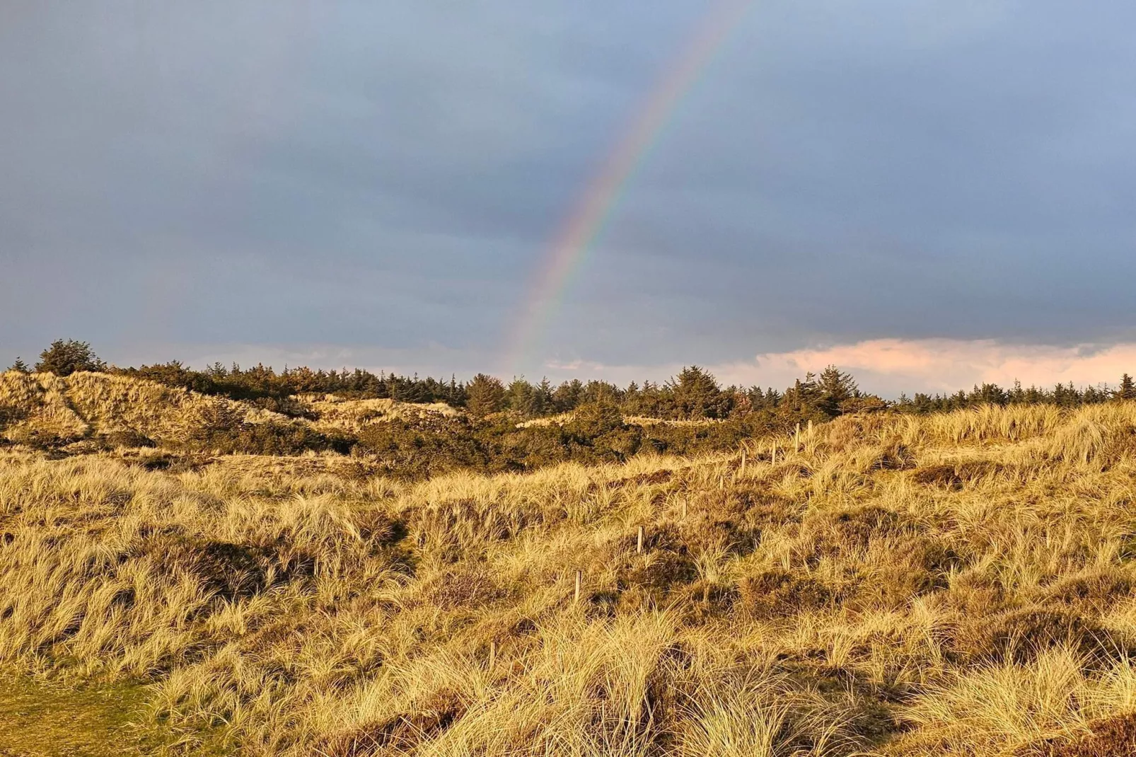 Maison de vacances pour 5 a Vejers Strand-Non tagué