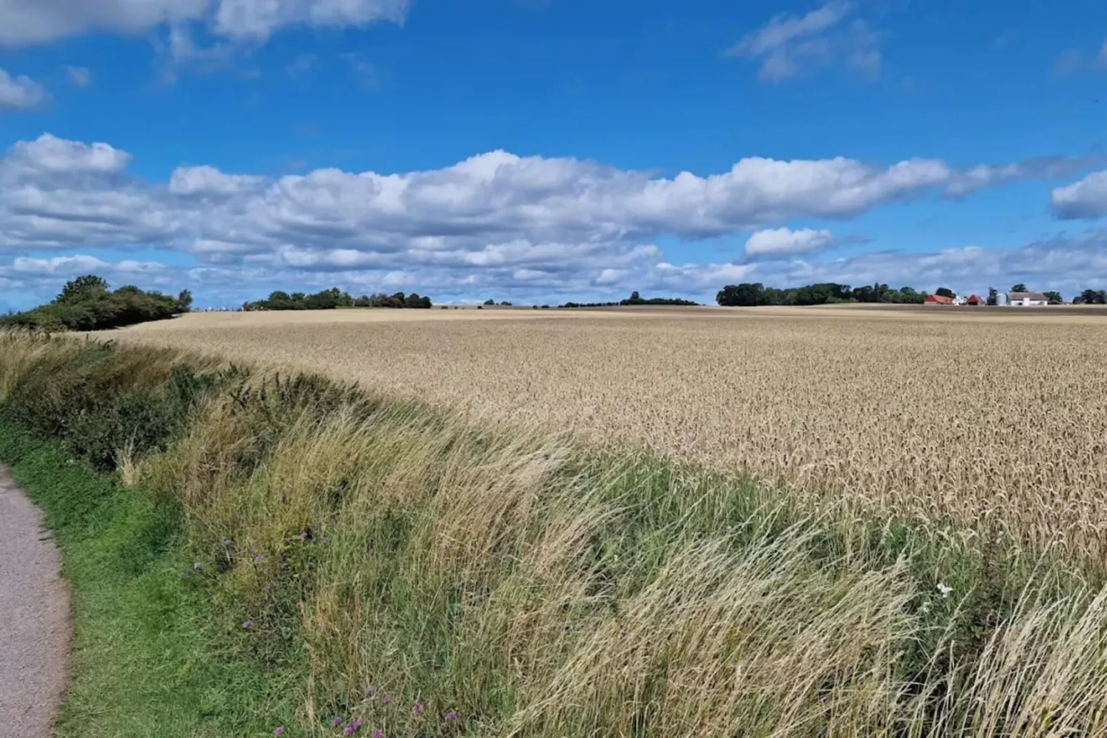 Villa de Bord de Mer elegante a Ven-By Traum-Non tagué