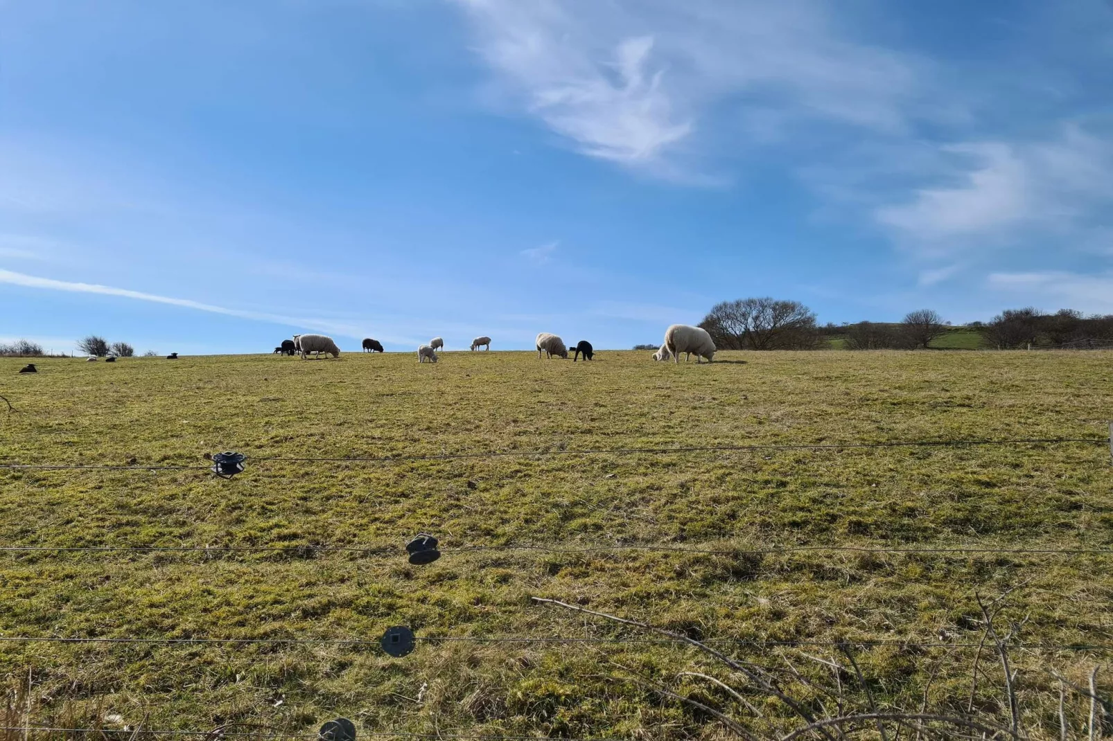 4 person holiday home in Martofte