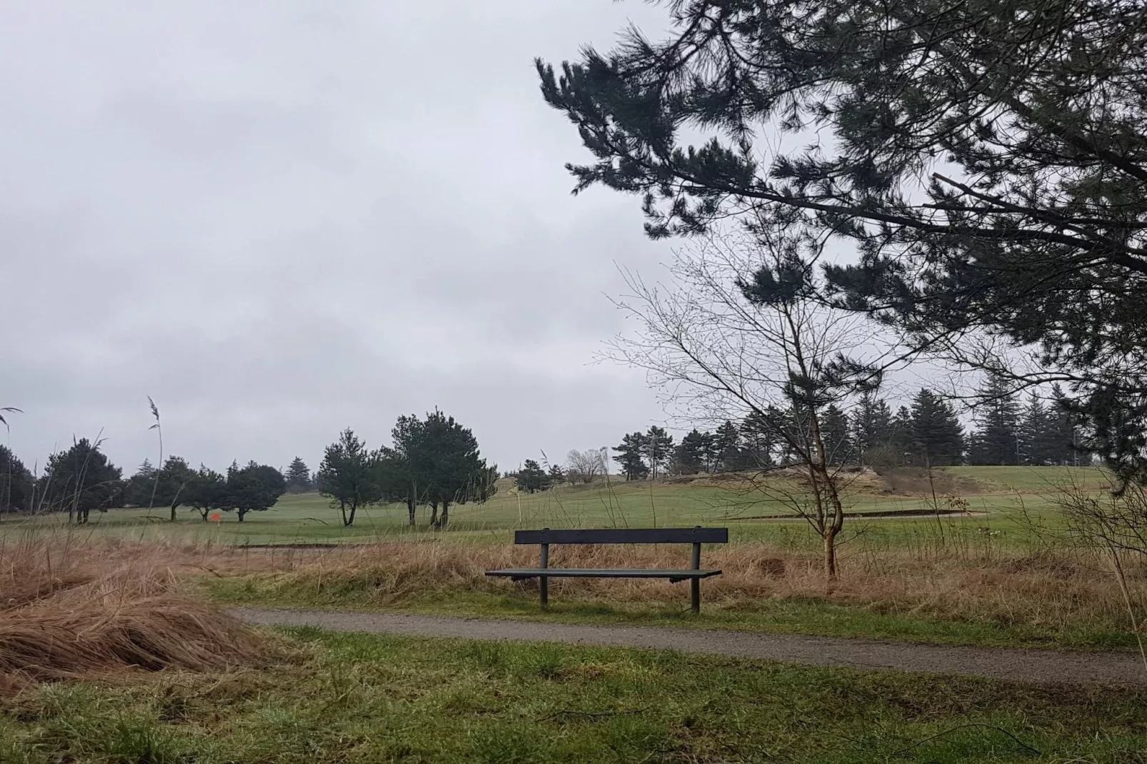 6 person holiday home in Fjerritslev - Untagged