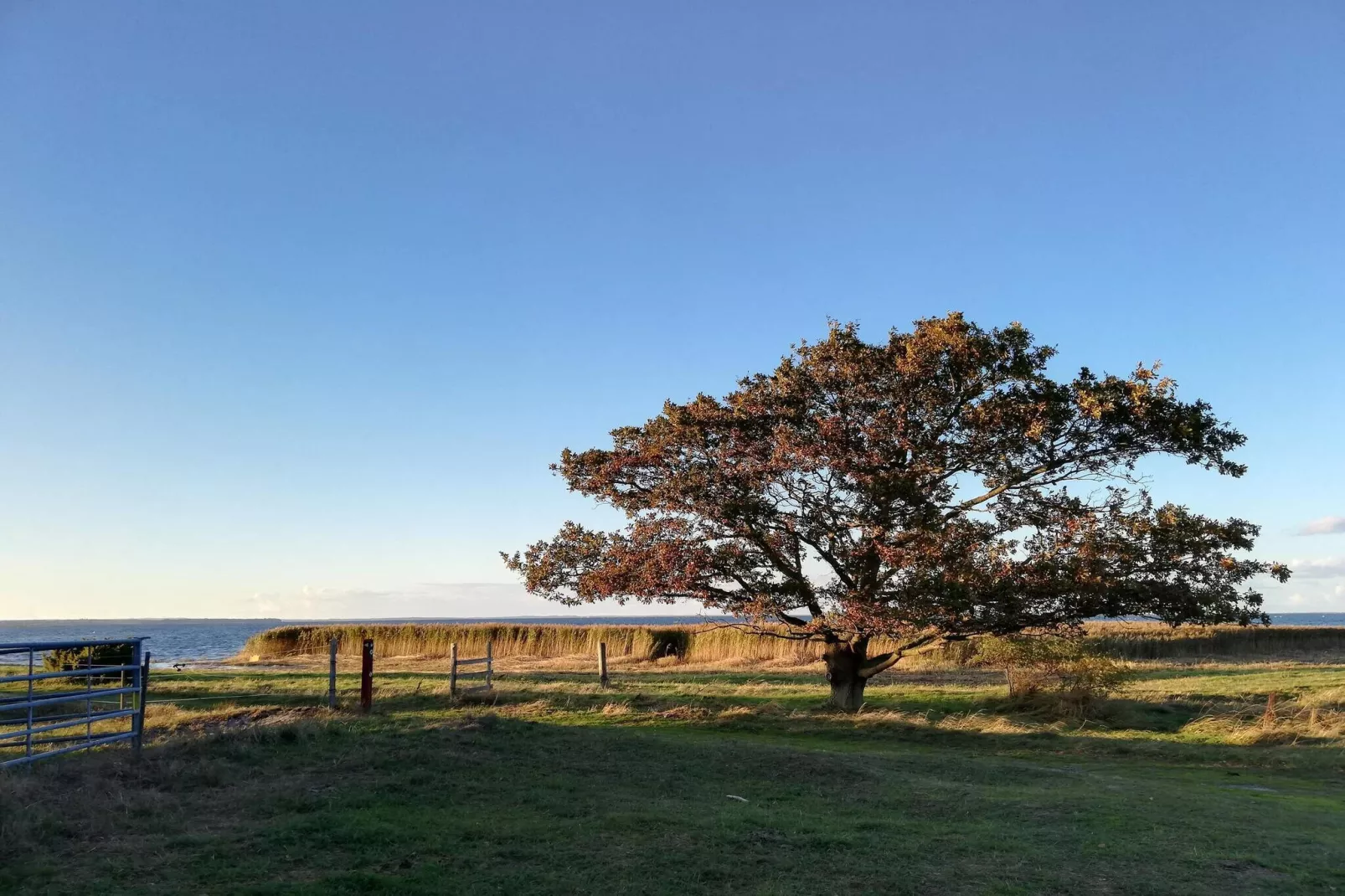 Maison de vacances pour 10 a Stege