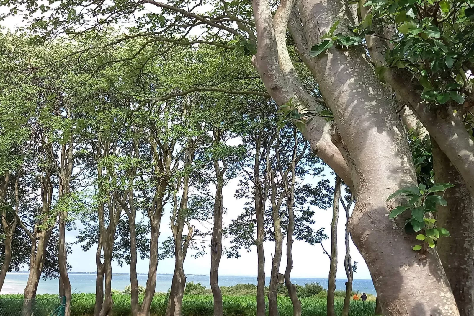 5 Personen Ferienhaus in Sydals-Nicht zugeordnet