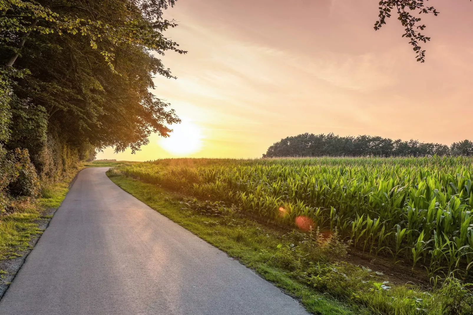 4 person holiday home in Tranekær-Outdoor