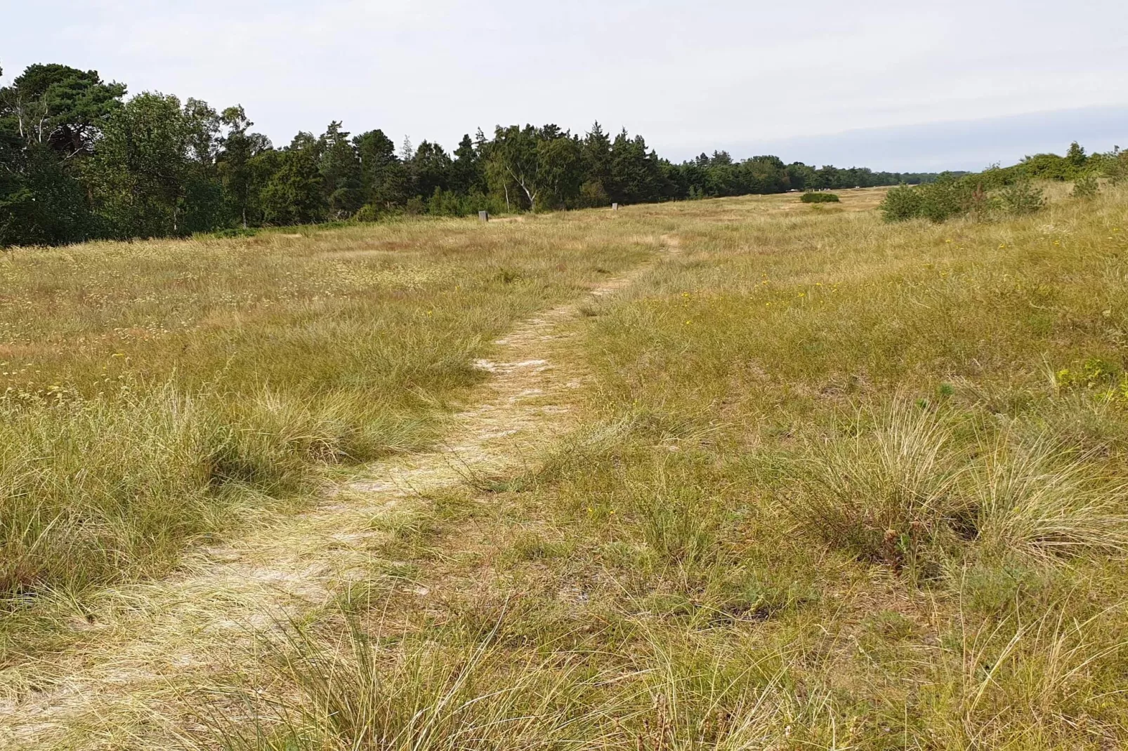 8 Personen Ferienhaus in Væggerløse-Nicht zugeordnet