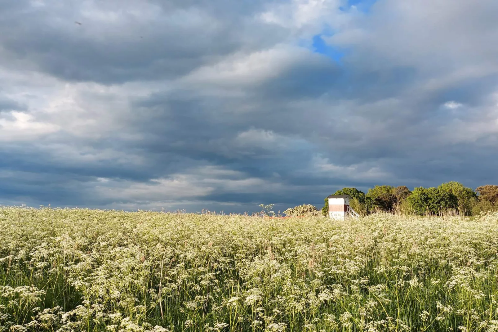 8 person holiday home in Præstø