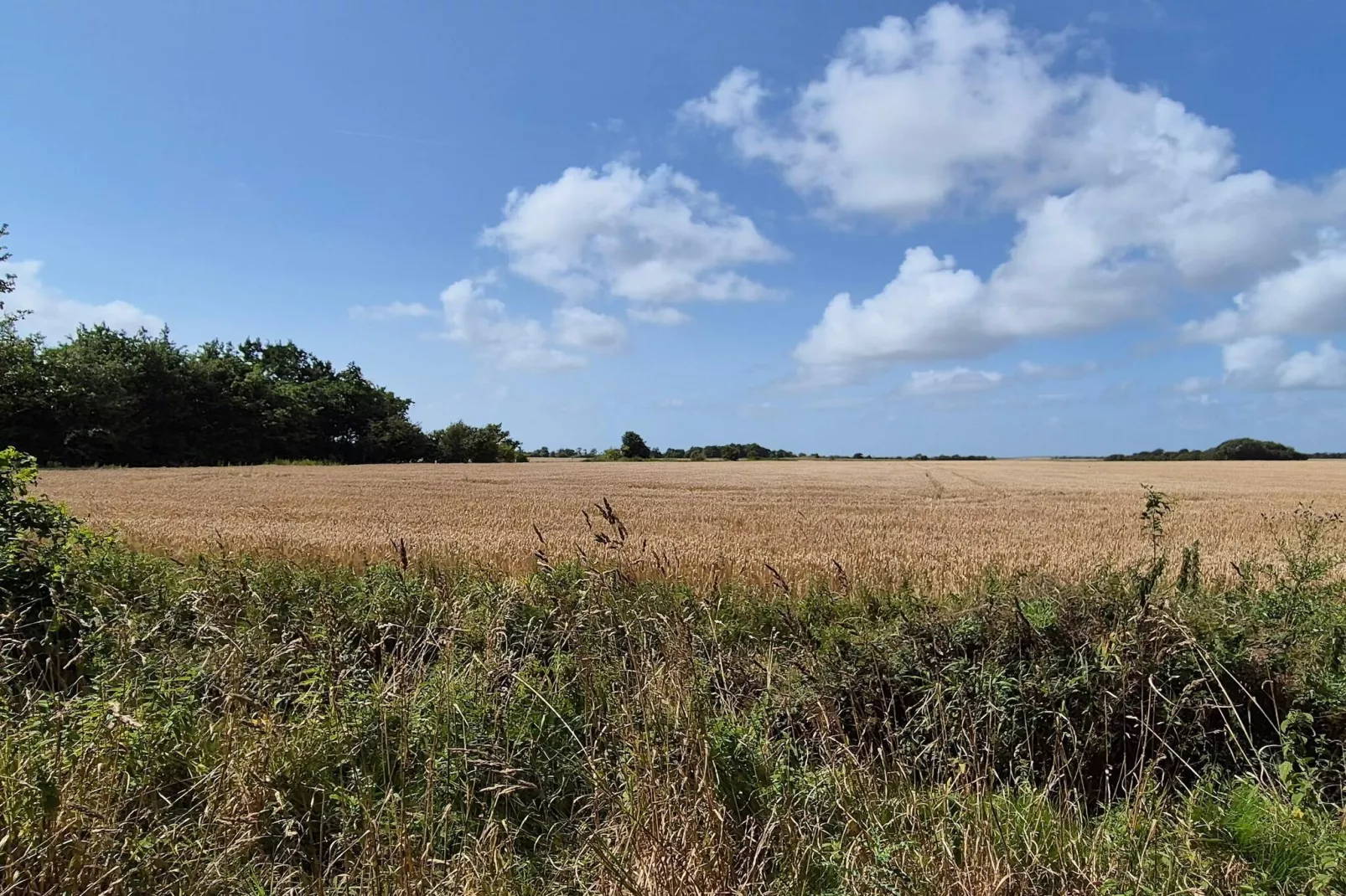 SKÆRBÆKCENTRET-Non tagué