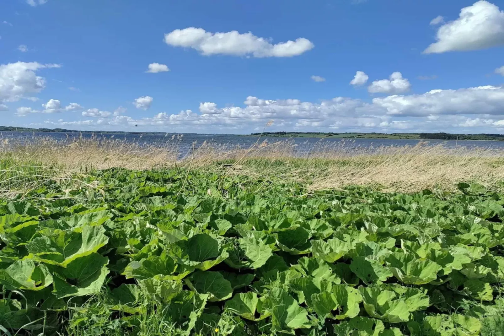 8 person holiday home in Løgstrup-By Traum