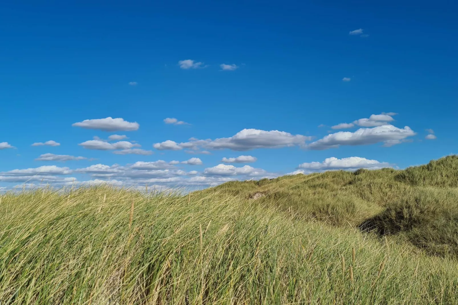 12 person holiday home in Pandrup-By Traum-Untagged