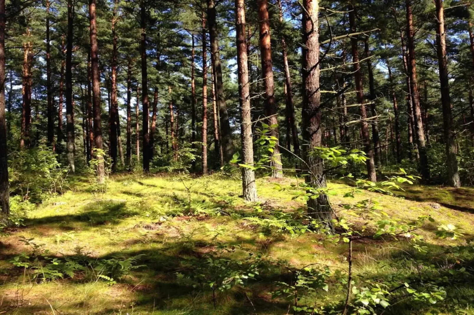 6 person holiday home in Löderup-By Traum-Untagged