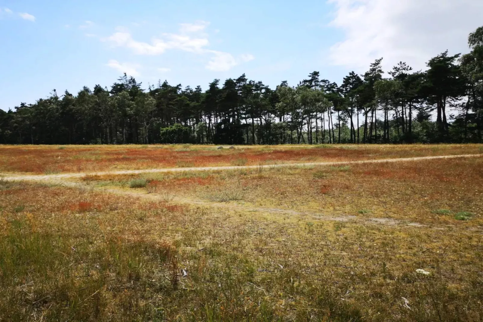 12 person holiday home in Væggerløse-By Traum-Untagged
