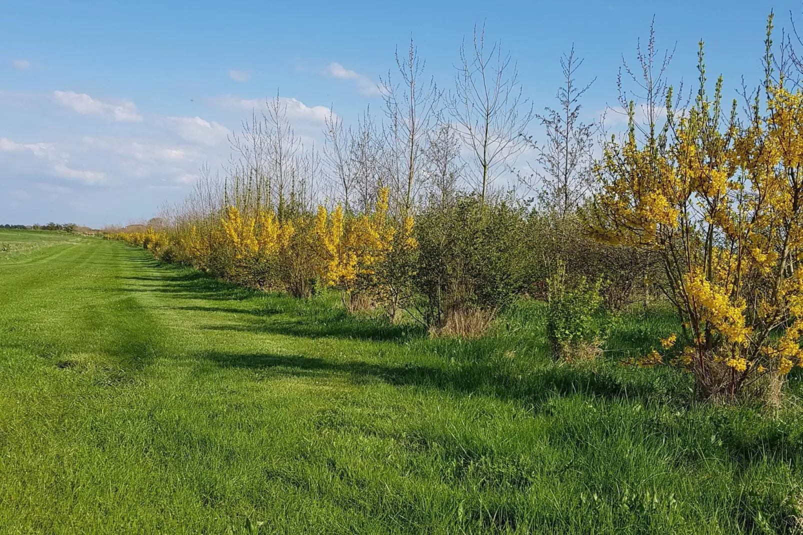 4 Personen Ferienhaus in Nykøbing M-By Traum-Nicht zugeordnet